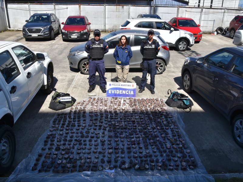 Policía Marítima de Calbuco incauta más de 160 kilos de recurso hidrobiológico en veda