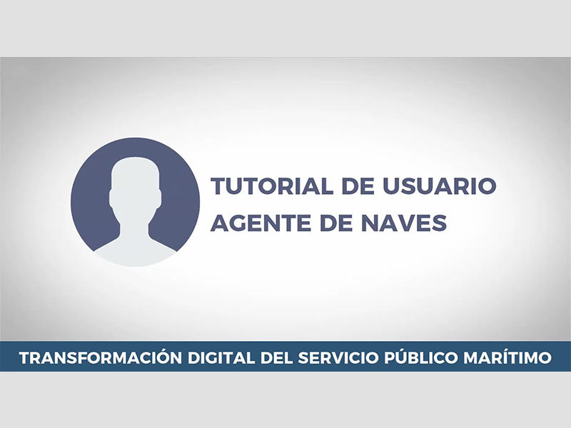 DGe - Tutorial de Usuario Agente de Naves