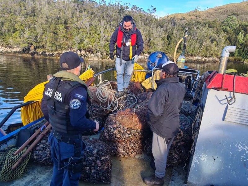 Autoridad Marítima de Puerto Aguirre y Sernapesca incautaron 960 kilos de choritos