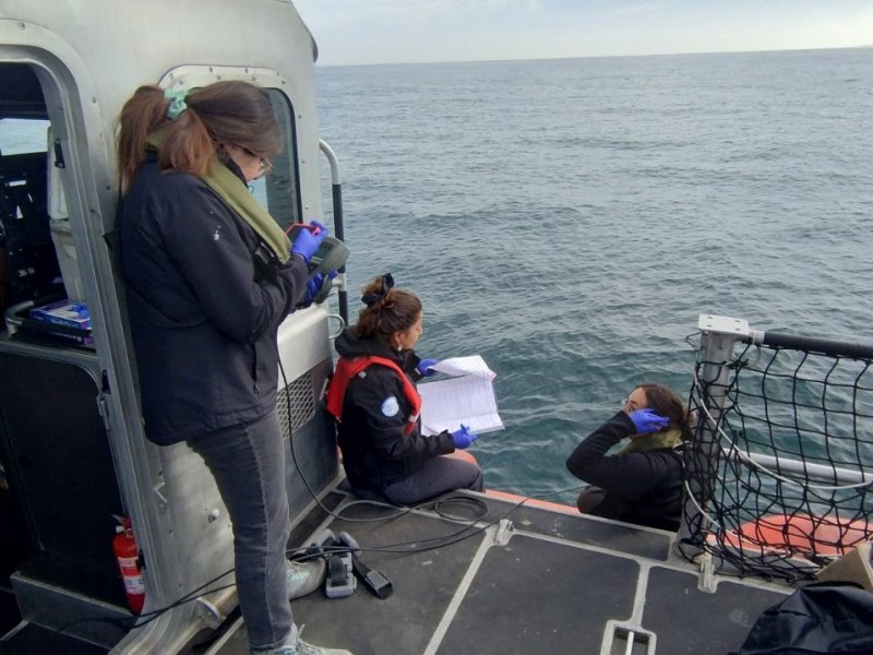 Gobernación Marítima de Valparaíso realizó monitoreo ambiental en la bahía