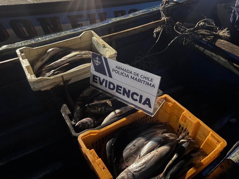 Policía Marítima de Talcahuano llevó a cabo operativo por robo de jurel en bahía de Coronel