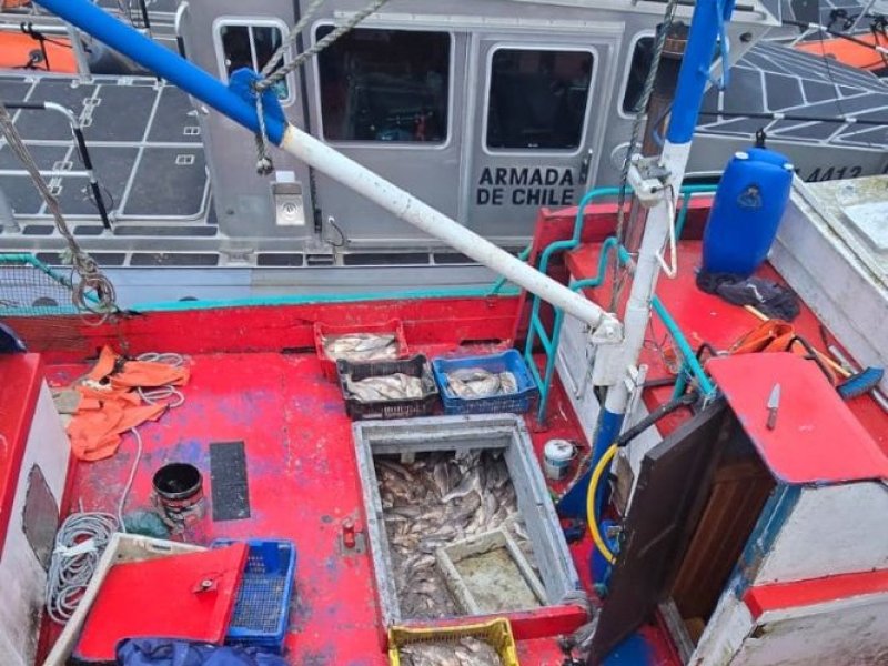 Armada de Chile ejecutó Operación “Marejada” contra robo de salmones