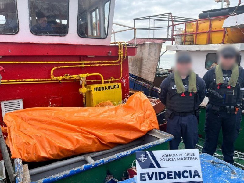 Policía Marítima incautó 8 toneladas de reineta en fiscalización en Canal Quicaví