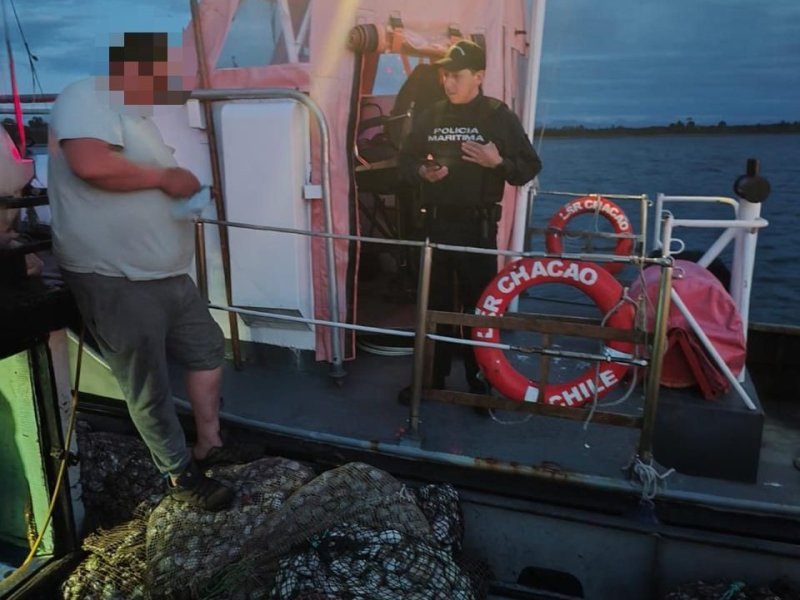 Autoridad Marítima de Calbuco junto con Sernapesca incautaron 900 kilos de recursos bivalvos en veda