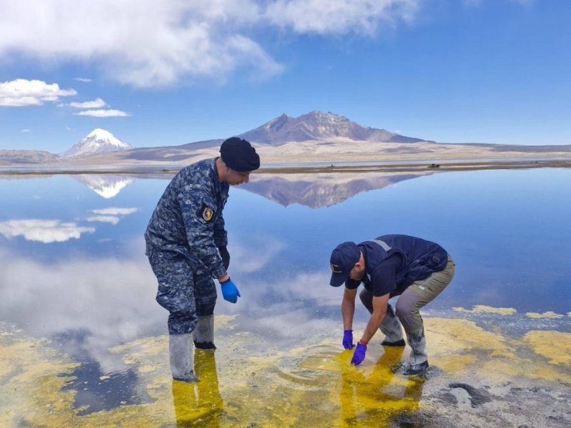 Gobernación Marítima de Arica apoyó emergencia medioambiental en el Lago Chungará