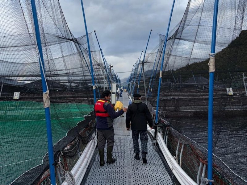 Capitanía de Puerto de Puerto Aguirre realiza fiscalizaciones a centros de cultivos